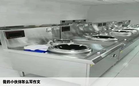我的小伙伴怎么写作文
