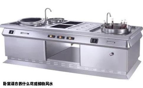 卧室适合养什么花或植物风水