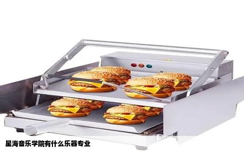 星海音乐学院有什么乐器专业