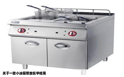 关于一款小冰箱想放在学校用