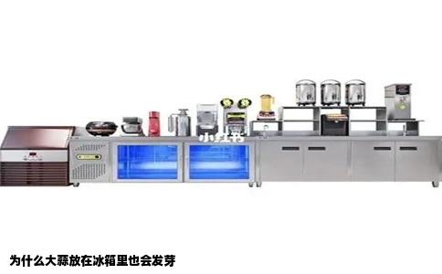为什么大蒜放在冰箱里也会发芽