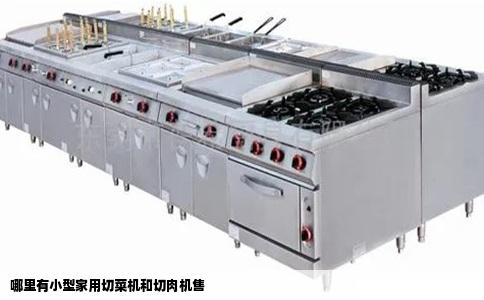 哪里有小型家用切菜机和切肉机售