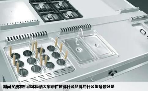 期间买洗衣机和冰箱请大家帮忙推荐什么品牌的什么型号最好是