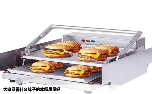 大家觉得什么牌子的冰箱质量好
