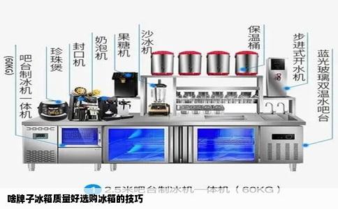 啥牌子冰箱质量好选购冰箱的技巧