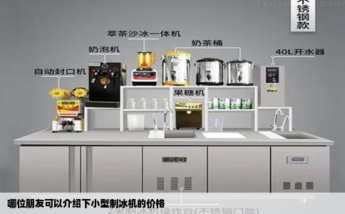 哪位朋友可以介绍下小型制冰机的价格