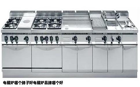 电磁炉哪个牌子好电磁炉品牌哪个好