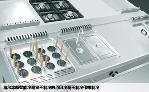 海尔冰箱智能冷藏室不制冷的原因冷藏不制冷保鲜制冷