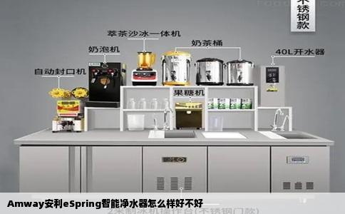 Amway安利eSpring智能净水器怎么样好不好