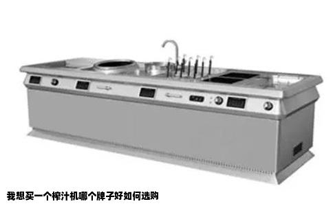 我想买一个榨汁机哪个牌子好如何选购