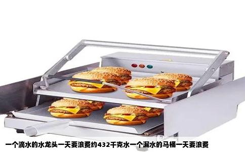 一个滴水的水龙头一天要浪费约432千克水一个漏水的马桶一天要浪费