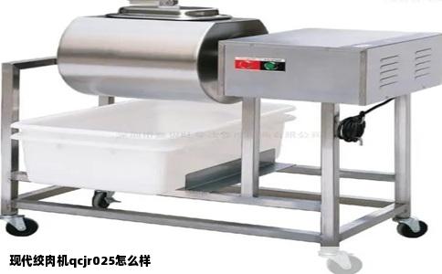 现代绞肉机qcjr025怎么样