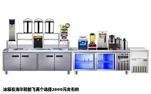 冰箱在海尔和新飞两个选择2000元左右的