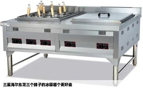 三星海尔东芝三个牌子的冰箱哪个更好些
