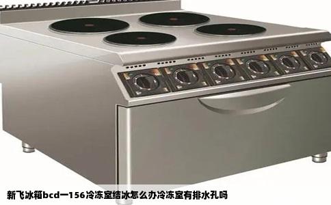 新飞冰箱bcd一156冷冻室结冰怎么办冷冻室有排水孔吗