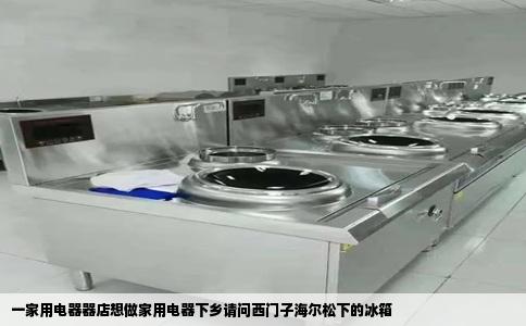 一家用电器器店想做家用电器下乡请问西门子海尔松下的冰箱