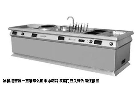 冰箱报警器一直响怎么回事冰箱冷冻室门巳关好为啥还报警