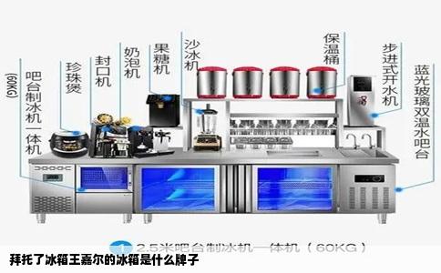 拜托了冰箱王嘉尔的冰箱是什么牌子