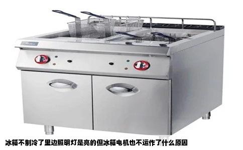 冰箱不制冷了里边照明灯是亮的但冰箱电机也不运作了什么原因