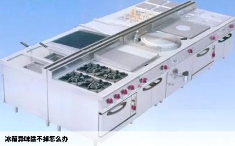 冰箱异味除不掉怎么办