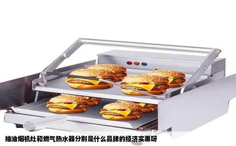 抽油烟机灶和燃气热水器分别是什么品牌的经济实惠呀