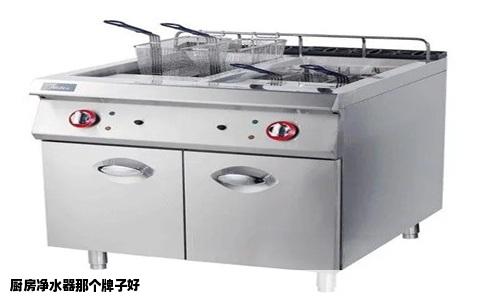 厨房净水器哪个牌子好