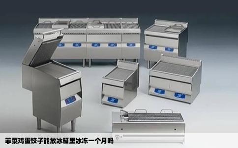 菲菜鸡蛋饺子能放冰箱里冰冻一个月吗