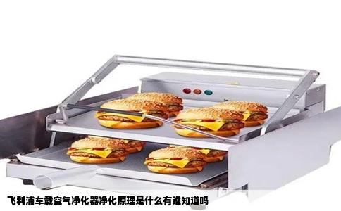 飞利浦车载空气净化器净化原理是什么有谁知道吗