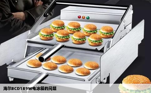 海尔BCD189W电冰箱的问题