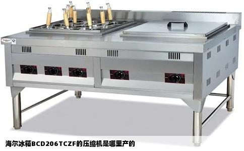 海尔冰箱BCD206TCZF的压缩机是哪里产的