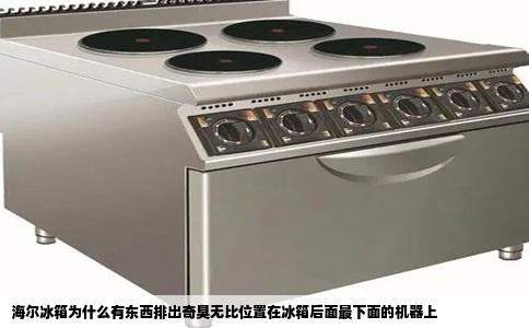 海尔冰箱为什么有东西排出奇臭无比位置在冰箱后面最下面的机器上
