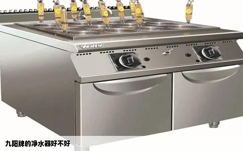 九阳牌的净水器好不好