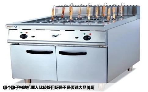 哪个牌子扫地机器人比较好用呀是不是要选大品牌啊