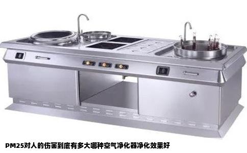 PM25对人的伤害到底有多大哪种空气净化器净化效果好
