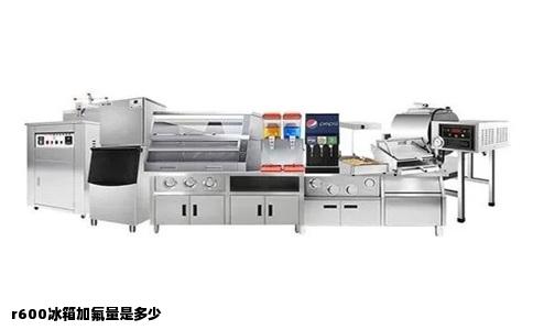 r600冰箱加氟量是多少