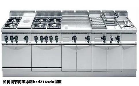 如何调节海尔冰箱bcd216sdx温度