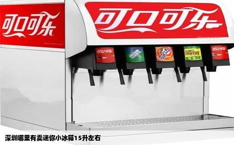 深圳哪里有卖迷你小冰箱15升左右