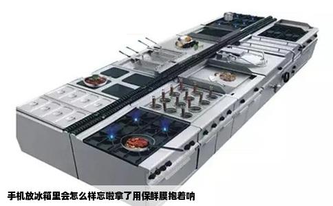 手机放冰箱里会怎么样忘啦拿了用保鲜膜抱着呐