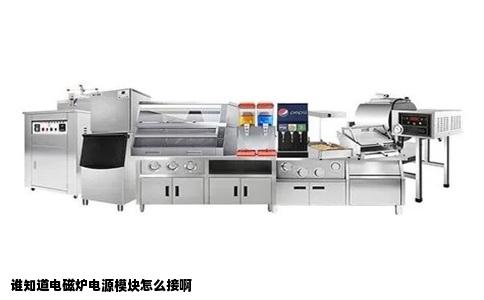 谁知道电磁炉电源模块怎么接啊