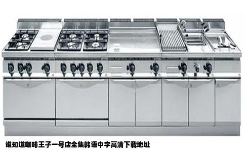 谁知道咖啡王子一号店全集韩语中字高清下载地址