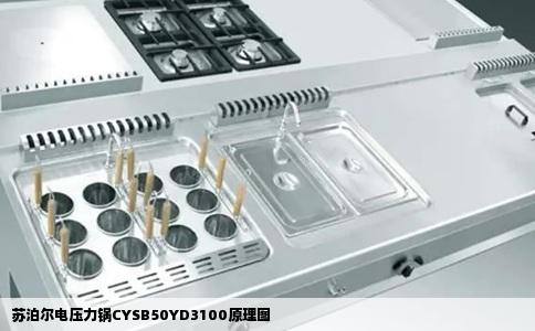 苏泊尔电压力锅CYSB50YD3100原理图
