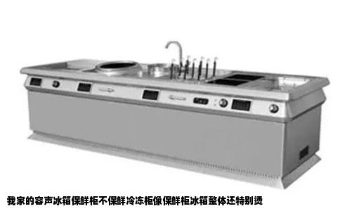 我家的容声冰箱保鲜柜不保鲜冷冻柜像保鲜柜冰箱整体还特别烫