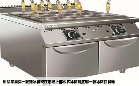 想给家里买一款新冰箱现在市场上那么多冰箱到底哪一款冰箱除异味