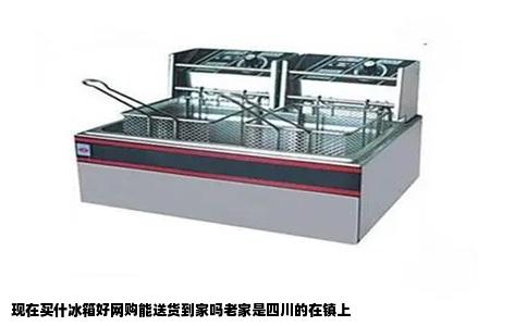 现在买什冰箱好网购能送货到家吗老家是四川的在镇上