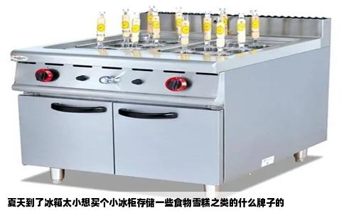 夏天到了冰箱太小想买个小冰柜存储一些食物雪糕之类的什么牌子的