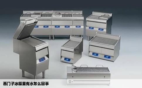 西门子冰箱里有水怎么回事