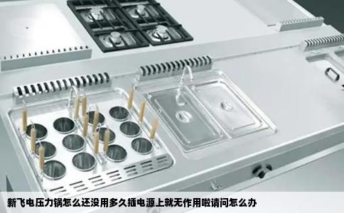 新飞电压力锅怎么还没用多久插电源上就无作用啦请问怎么办