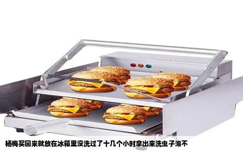 杨梅买回来就放在冰箱里没洗过了十几个小时拿出来洗虫子泡不