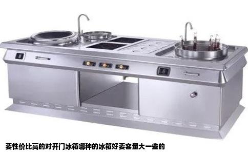 要性价比高的对开门冰箱哪种的冰箱好要容量大一些的