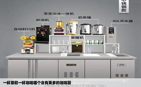 一杯茶和一杯咖啡哪个含有更多的咖啡因